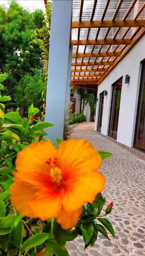 Hotel El Viajero La Libertad Eksteriør billede