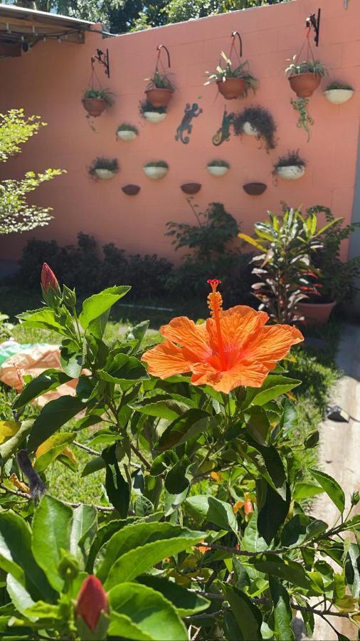 Hotel El Viajero La Libertad Eksteriør billede